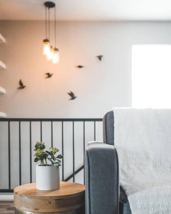 Porchlight Home Central San Diego Free Parking מראה חיצוני תמונה
